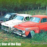 feb12-19my star fallen star wayne 107-3